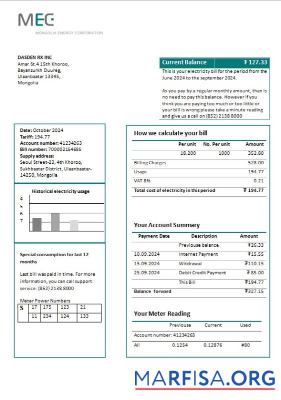 Realistic Mongolia Energy Corporation (MEC) electricity business utility bill template in Word and PDF formats